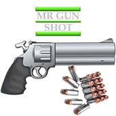 Mr Gun Shoot