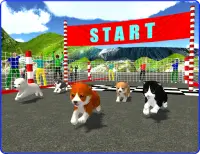 Cute Puppy Dog Racing Sim 2017 Screen Shot 10