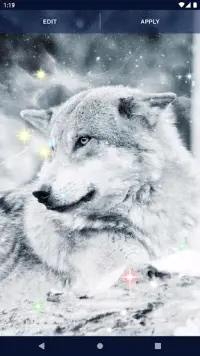 Night Wolf Live Wallpaper Screen Shot 6