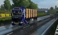 Real Euro Truck Drive Screen Shot 4