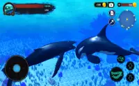 The Humpback Whales Screen Shot 16
