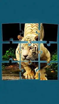 Harimau Permainan Puzzle Screen Shot 10