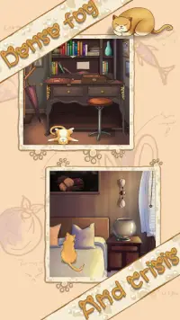 Escape Games Of Cat : QiuDao will be the cats hero Screen Shot 3