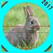 Coniglio caccia 2017