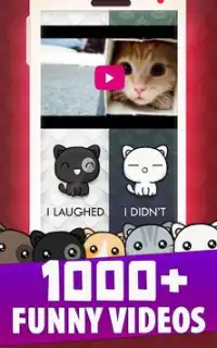 Is this cute? Funny and cute animal videos Screen Shot 4