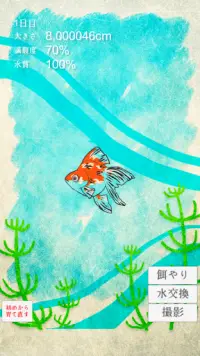 癒しの金魚育成ゲーム Screen Shot 1
