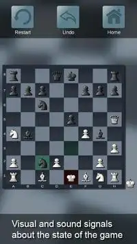 Simple Chess - Classic Chess Game Screen Shot 2