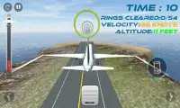 Passenger Airplane Flight Sim Screen Shot 8