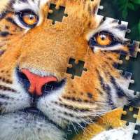 Jigsaw Puzzles Classic : câu đố ghép hình cổ điển