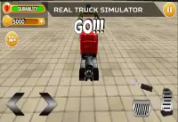 Truck Parking 3D : World Simulator Screen Shot 0