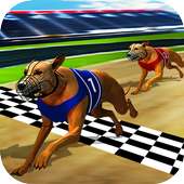 Wild Greyhound Dog Racing