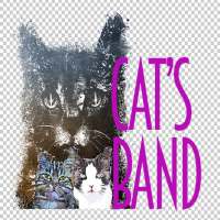 Cat's band