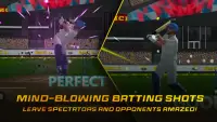 Meta Cricket League : NFT Game Screen Shot 10