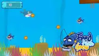 Feed and Grow The Fish Screen Shot 6