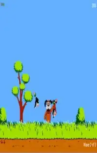 DuckHunt Screen Shot 4