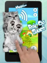 猫 面白いアプリ Screen Shot 3