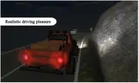 Truck Driver Extreme Screen Shot 3