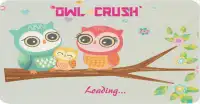 Owl Crush Screen Shot 0