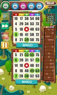 Bingo Bonus Frenzy - Offline Bingo Screen Shot 4