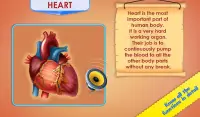 Human Body Parts - Preschool Kids Learning Screen Shot 2