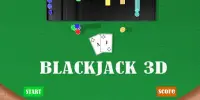 PE Western Blackjack 3D Screen Shot 0
