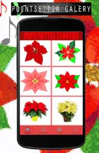 Pointsettia Flowers Color By Number-Pixel Art Screen Shot 3