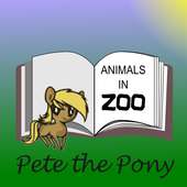 Pete the Pony - Animals in ZOO