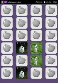 Rabbit Memory Game Screen Shot 1