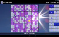 16x16 Sudoku Challenge HD Screen Shot 2