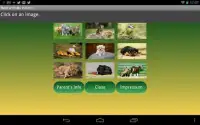 Baby Animals Puzzle Screen Shot 0