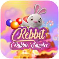 Rabbit Bubble