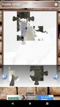 Pony Horse Game Puzzle Screen Shot 3