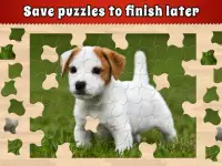 Jigsaw Puzzle Bug Screen Shot 14