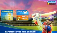 World Cricket 2017 Screen Shot 4