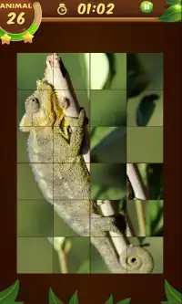 Animals slide Puzzle Screen Shot 0