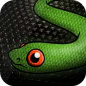 Snake Cover for Super Slither io