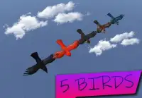 Crazy Bird Screen Shot 0