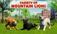 Mountain Lion: Wild Cougar 3D Screen Shot 3