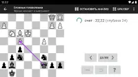 Шахматные головоломки Screen Shot 7