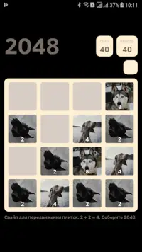 Dogs 2048 Screen Shot 1