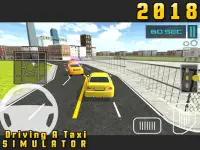 Driving a Taxi Simulator 2018 Screen Shot 11