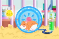 Cute Hamster Pet for Kids Screen Shot 5