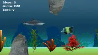 Angry Shark Adventure Game Screen Shot 1