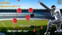 Hit Cricket - Mobile Finger League Screen Shot 1
