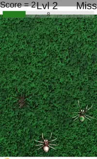 Spider Smash/Stash Screen Shot 1