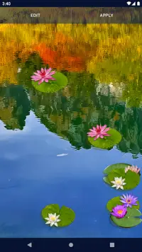 Water Lily Live Wallpaper Screen Shot 3