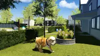 Simulator Anjing Banteng Screen Shot 7