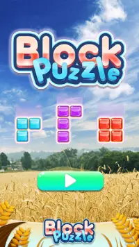 Block Puzzle - Endless Test Screen Shot 0