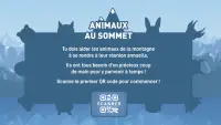 Animaux au Sommet Screen Shot 0