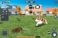 Cat Simulator Game 2020 :Kitty Running Screen Shot 13